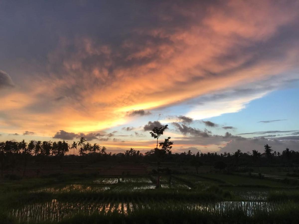 Sunset Pandawa Villa Ubud Extérieur photo