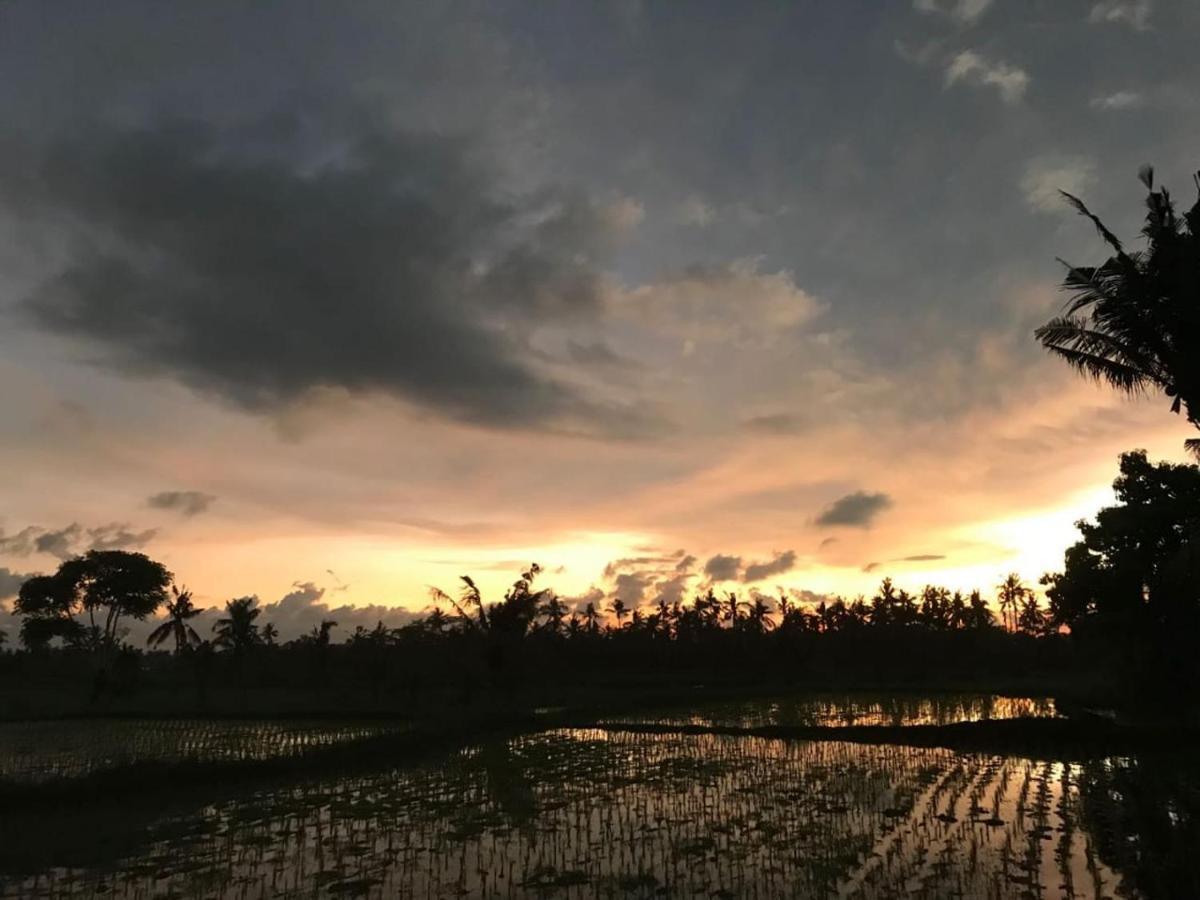 Sunset Pandawa Villa Ubud Extérieur photo