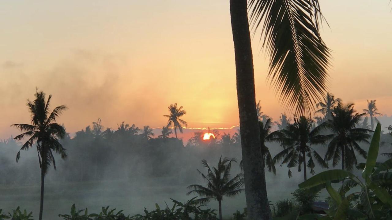 Sunset Pandawa Villa Ubud Extérieur photo
