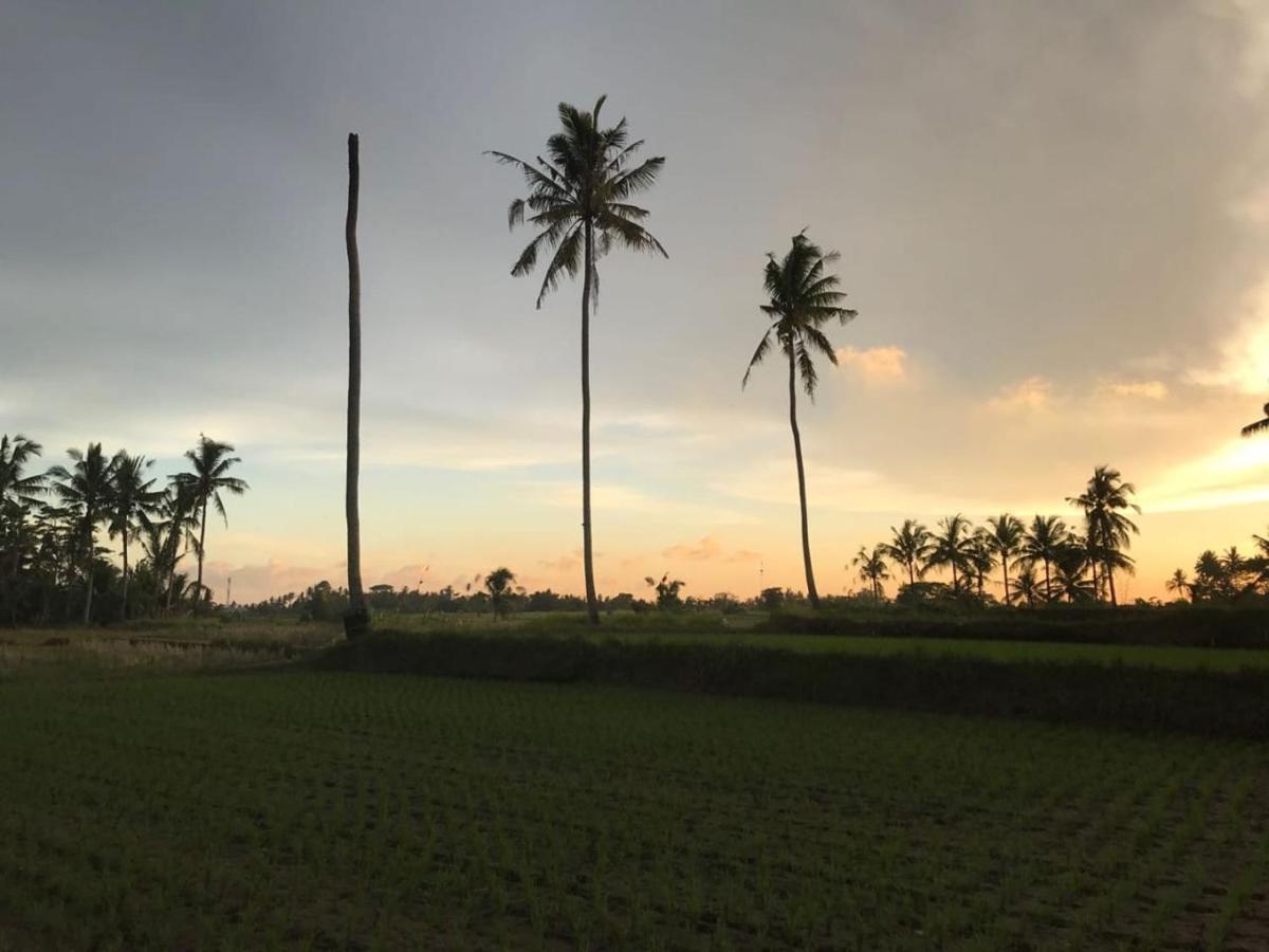 Sunset Pandawa Villa Ubud Extérieur photo
