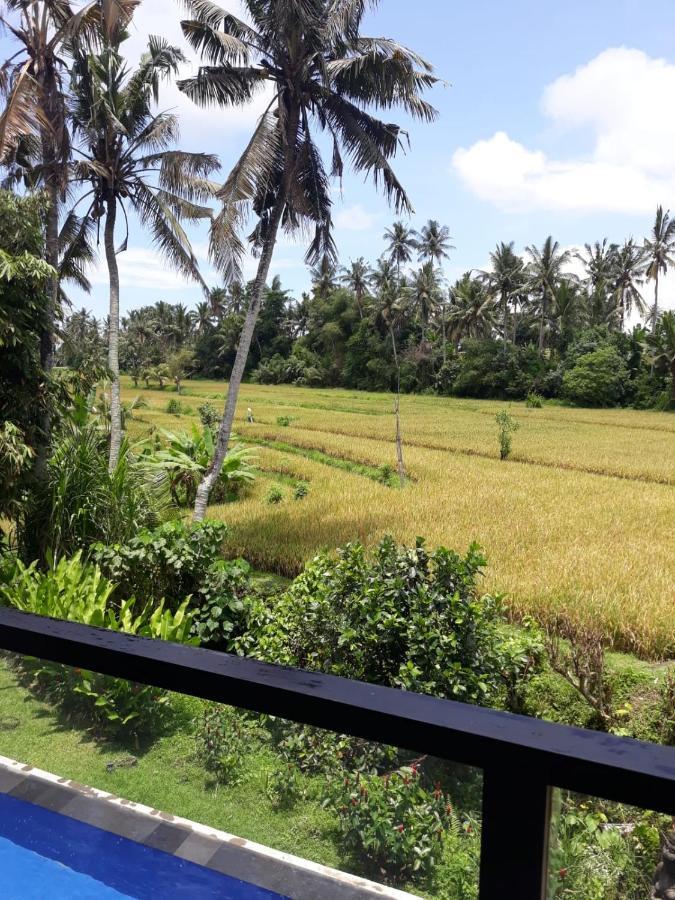 Sunset Pandawa Villa Ubud Extérieur photo