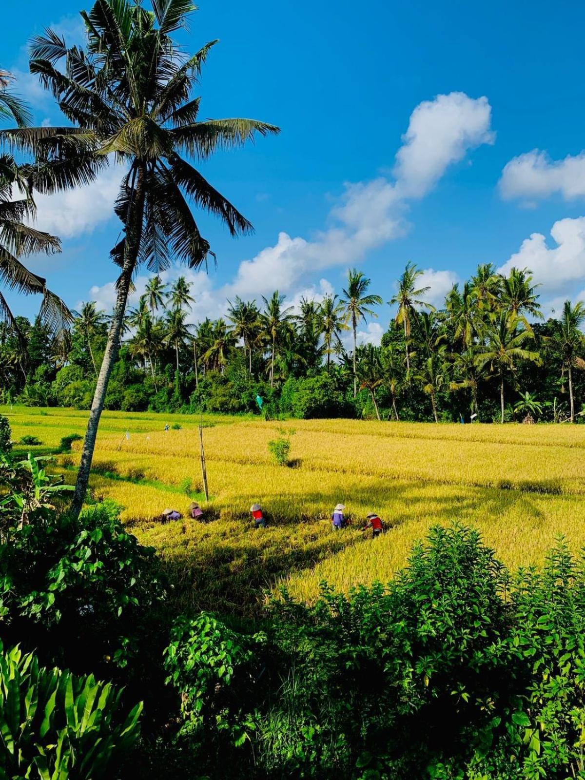 Sunset Pandawa Villa Ubud Extérieur photo