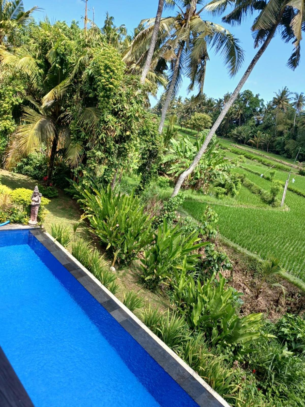 Sunset Pandawa Villa Ubud Extérieur photo