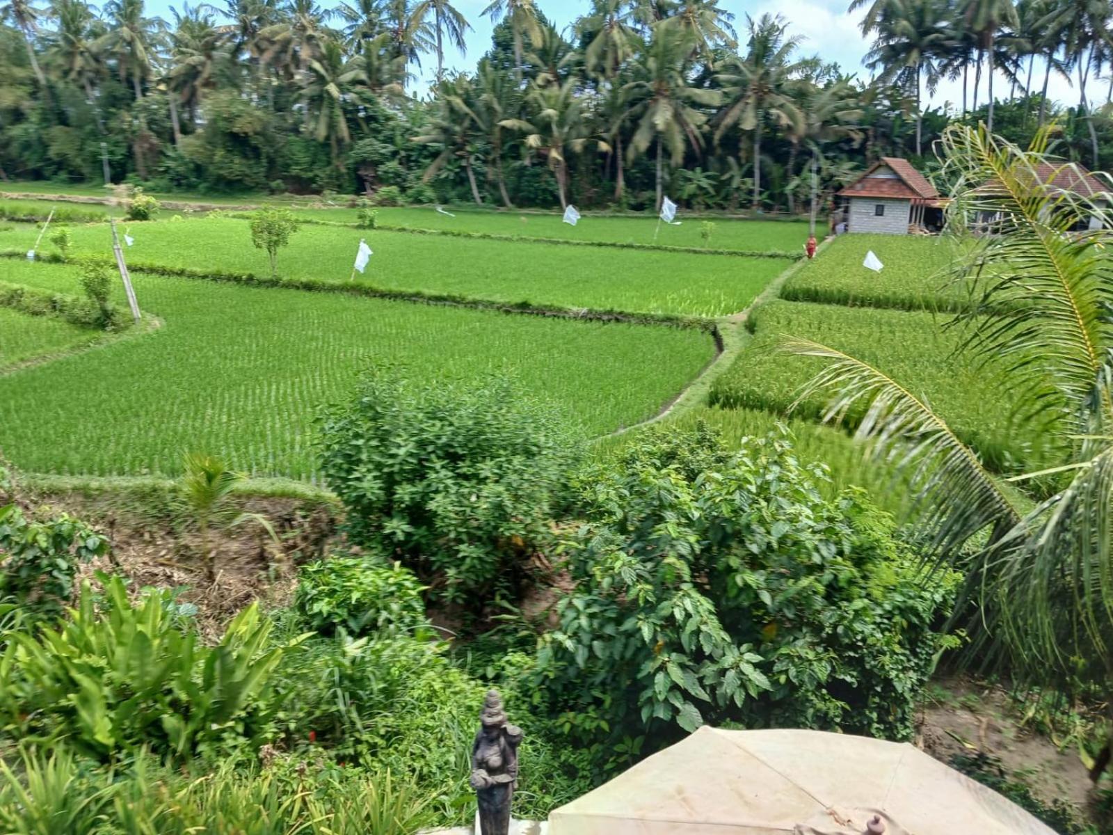 Sunset Pandawa Villa Ubud Extérieur photo