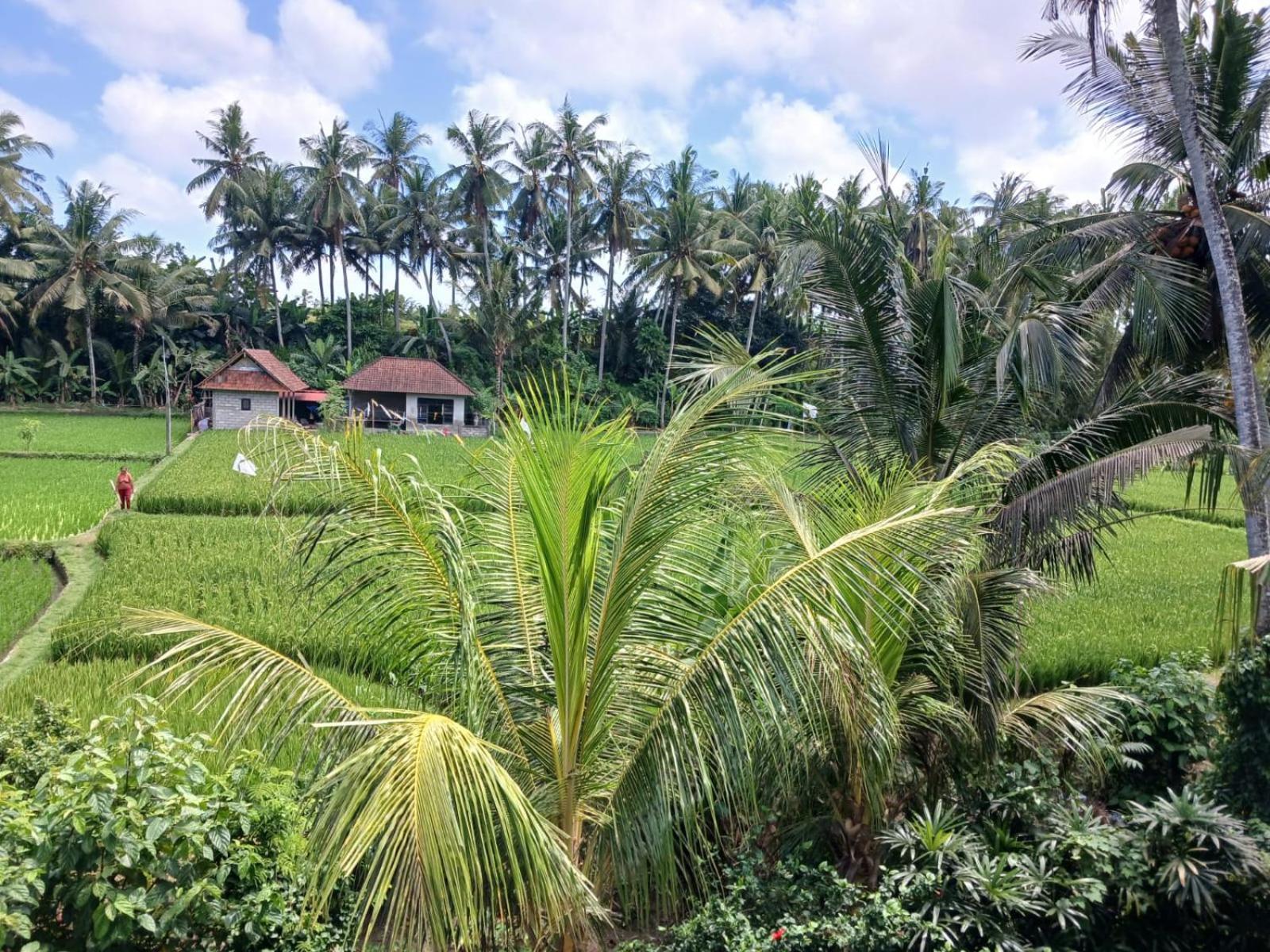 Sunset Pandawa Villa Ubud Extérieur photo