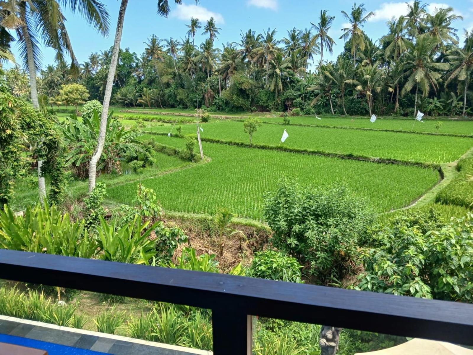 Sunset Pandawa Villa Ubud Extérieur photo
